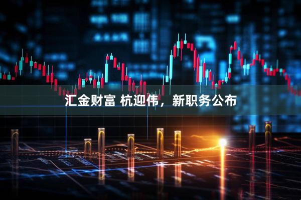 汇金财富 杭迎伟，新职务公布