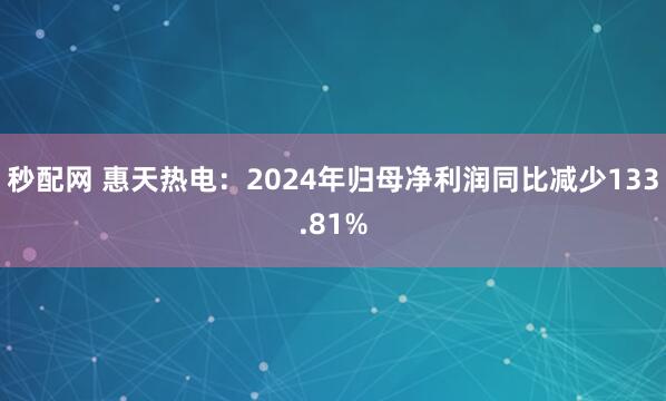 秒配网 惠天热电：2024年归母净利润同比减少133.81%