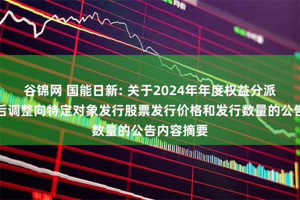 谷锦网 国能日新: 关于2024年年度权益分派方案实施后调整向特定对象发行股票发行价格和发行数量的公告内容摘要