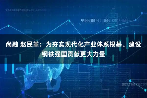 尚融 赵民革：为夯实现代化产业体系根基、建设钢铁强国贡献更大力量